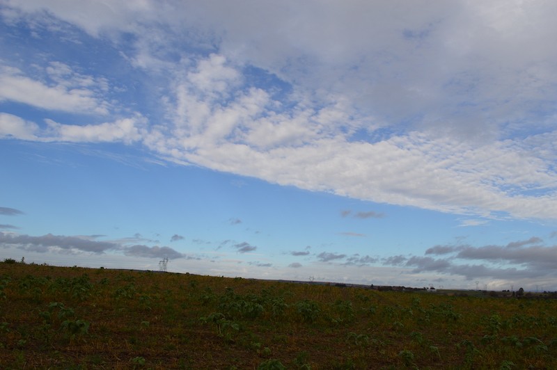 Dsc 0038