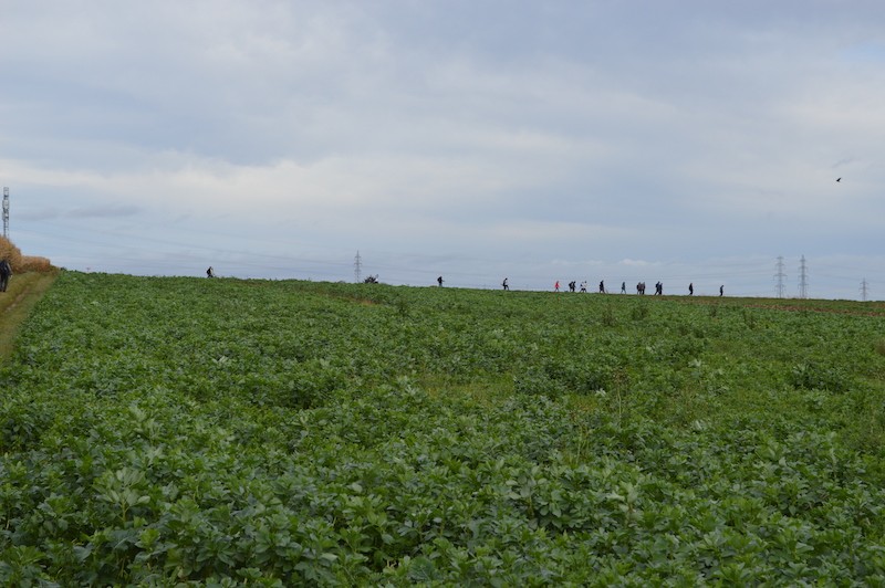Dsc 0074