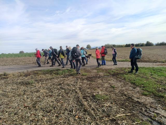 Photo 2023 11 01 11 52 26