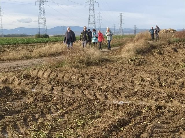 Photo 2023 11 01 11 52 27